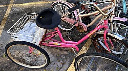 Bike #10 - 3 wheels Pink Miami Sun (South rack)
