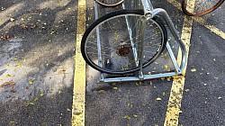 Bike wheel (South rack)